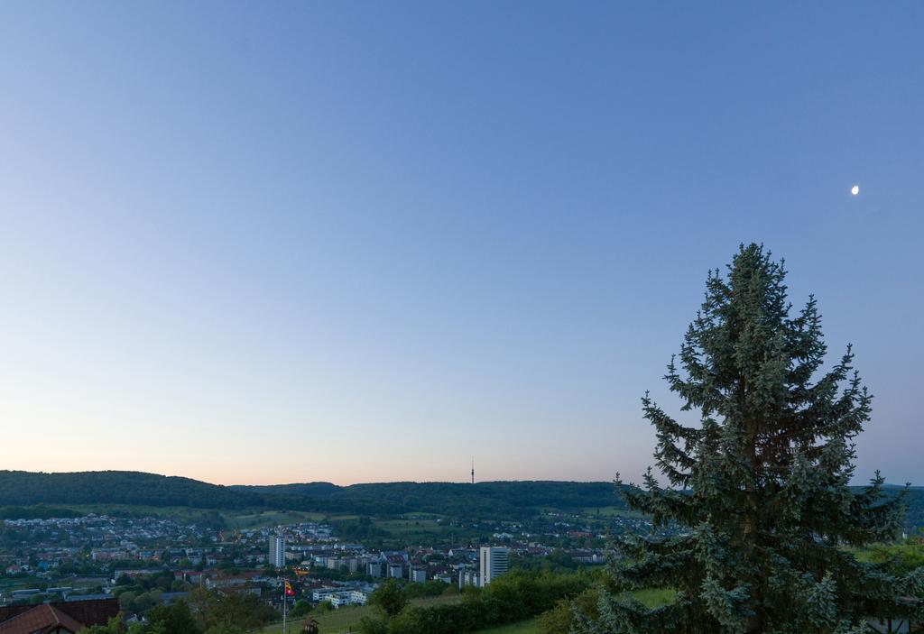 Restaurant-Hotel Maien Lörrach Exteriör bild